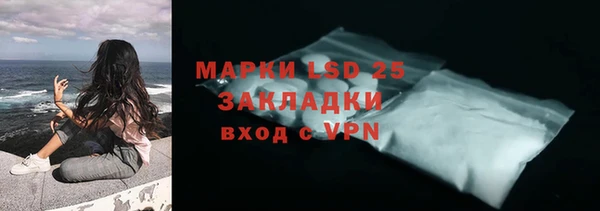 ГАЛЛЮЦИНОГЕННЫЕ ГРИБЫ Арсеньев