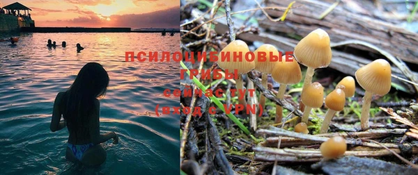 СК Осташков