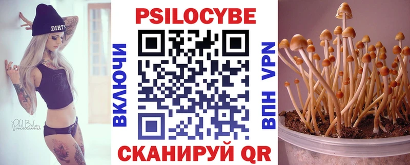 KRAKEN маркетплейс  Покровск  Псилоцибиновые грибы MAGIC MUSHROOMS  где можно купить  
